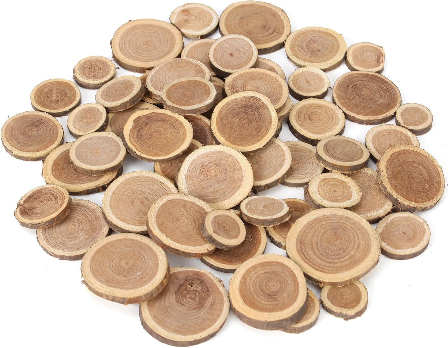 Wood Slices and Rounds